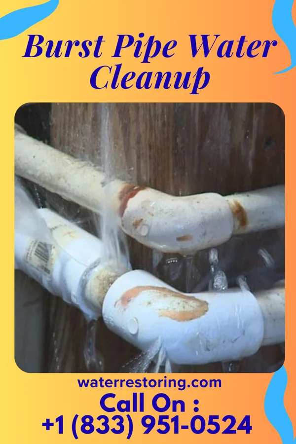 Burst Pipe Water Cleanup in Westphalia, MI