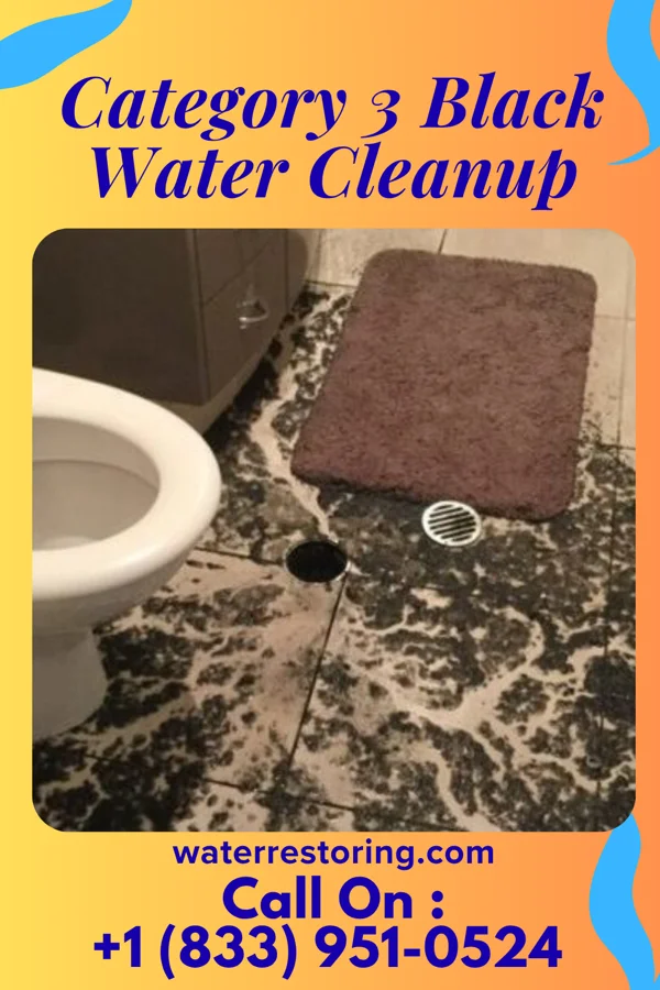 Category 3 Black Water Cleanup in Westphalia, MI