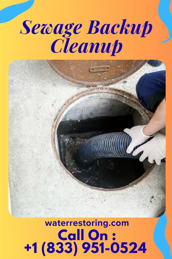 Sewage Backup Cleanup in Westphalia, MI