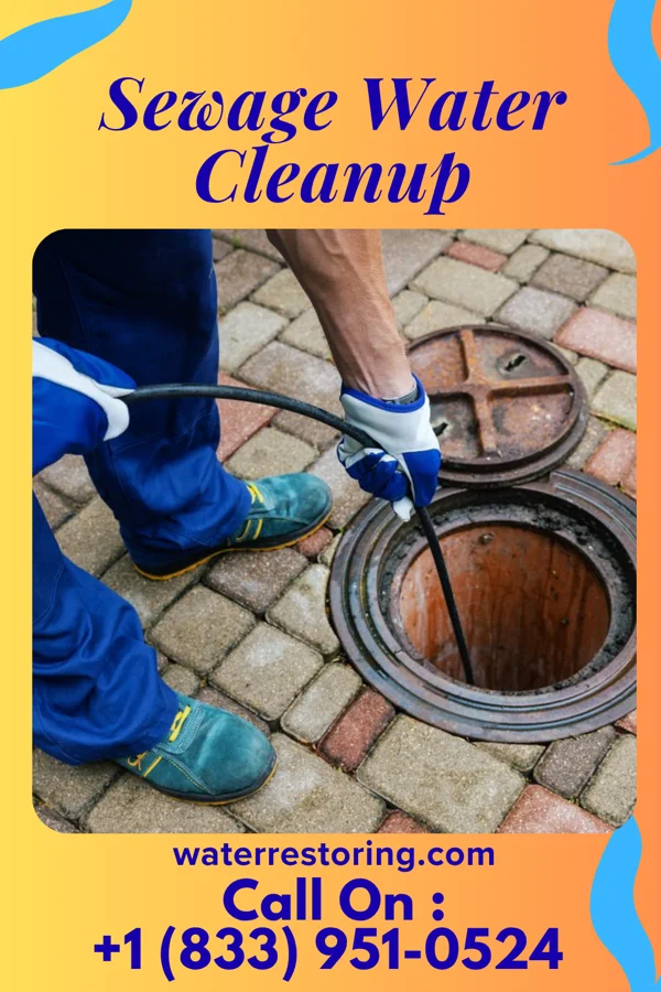 Sewage Water Cleanup in Westphalia, MI