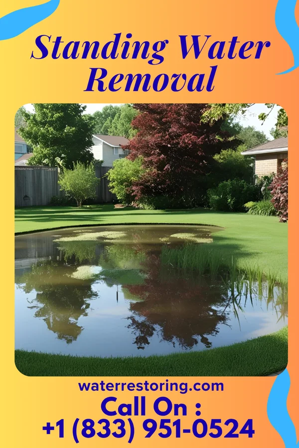 Standing Water Removal in Westphalia, MI